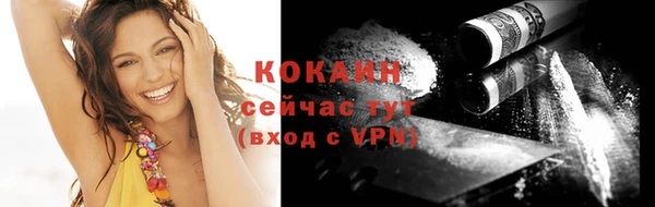 гашик Верея
