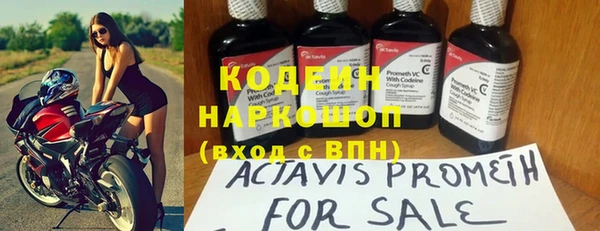 прущие грибы Бронницы