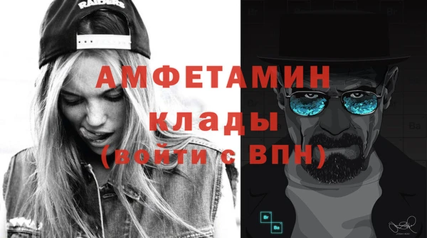 прущие грибы Бронницы